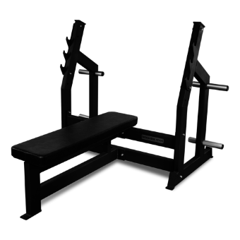Скамья для жима горизонтальная AL-304 Bronze Gym