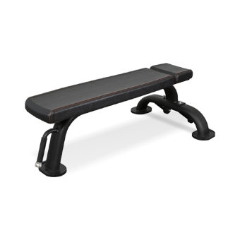 Скамья горизонтальная Bronze Gym BR-1002 Скамья горизонтальная Bronze Gym BR-1002