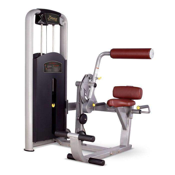 Разгибание спины Bronze GYM MV-009