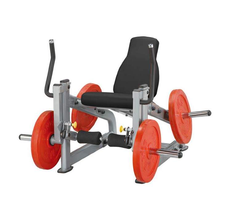 Разгибание ног сидя Steel Flex PLLE