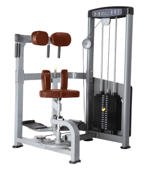 Торс-машина Bronze Gym D-011 Торс-машина Bronze Gym D-011