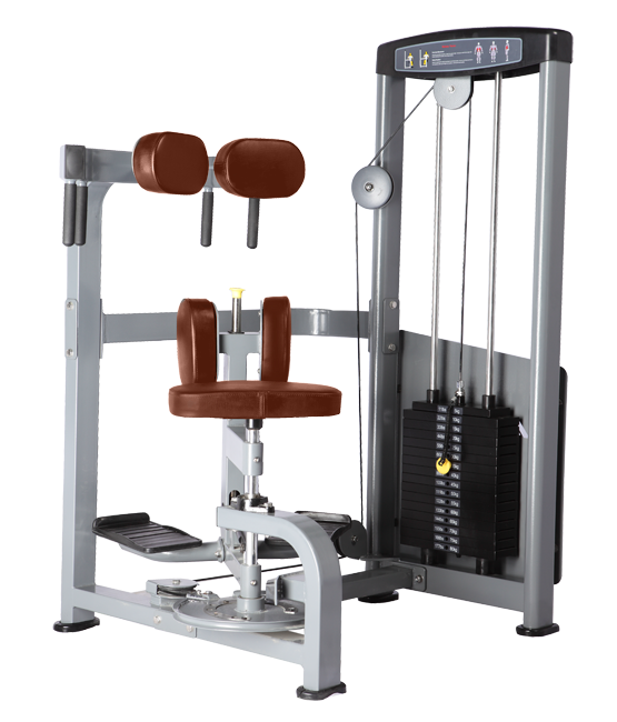Торс-машина Bronze Gym D-011